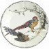 Grands Oiseaux Luncheon Plate Pheasant 10 1/4" Dia