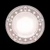 Grand Apparat Platine White/Platinum Rim Soup Plate 23.5 Cm 17 Cl (Special Order)