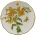 American Wildflowers Butterfly Weed Multicolor Dinner Plate 10.5 in D