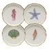Coaster Boxed Set Of 4 Multicolor 4 in D