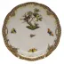 Rothschild Bird Motif 11 Multicolor Tea Saucer 6 in D