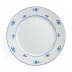 Druggist Dinner Plate