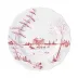 Country Estate Winter Frolic Ruby Dinner Plate