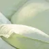 Charmilles Lightgreen Pillowcase 16" X 31"