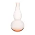 Kalebassen Flower Vase BV71 I. rosalin 04