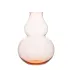 Kalebassen Flower Vase BV71 II. rosalin 04