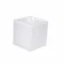 Ice Frosted Snow Lucite  Container (4"W x 5.25"H)