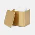 Adelaide Matte Gold Canister Large Square Straight Brass
