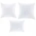 Premium White Pillow Insert 17"x21"