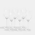 Occasional The Champagne Glass Set of 6
