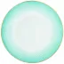 Aura French Rim Soup Plate Diam 10.6 in