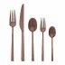 Linea Q Vintage Pvd Copper 5-Pc Place Setting Solid Handle 18/10 Stainless Steel Vintage Pvd Finishing
