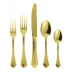 Filet Toiras Pvd Gold 5-Pc Place Setting Solid Handle 18/10 Stainless Steel Pvd Mirror