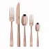 Flat Pvd Copper 5-Pc Place Setting Solid Handle 18/10 Stainless Steel Pvd Mirror (Special Order)