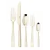 Flat Pvd Champagne 5-Pc Place Setting Solid Handle 18/10 Stainless Steel Pvd Mirror (Special Order)