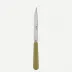 Basic Sage Green Steak Knife 9"