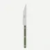 Bistrot Pearly Dark Green Dinner Knife 9"1/4