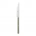 Bistrot Shiny Asparagus Dinner Knife 9.25"