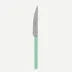 Bistrot Vintage Pastel Green Dinner Knife 9.25"