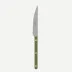 Bistrot Vintage Pearly Olive Dinner Knife 9.25"