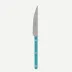 Bistrot Vintage Pearly Turquoise Dinner Knife 9.25"