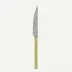 Bistrot Vintage Pearly Moss Dinner Knife 9.25"