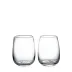Woodstock Tumbler Set of 2 Small