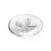 Sand Dollar Plate Medium