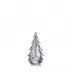 Vermont Silver Leaf Evergreen 6"
