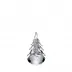 Five Sided Evergreen in Gift Box 6 Inch