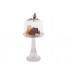 Song Bird Glass Dome Cheese/Dessert Stand Tall