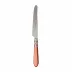 Aladdin Brilliant Rust Place Knife 9.5"L