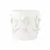 Bougainvillea Garden White Cachepot Short