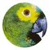 Olhar O Brasil Charger Plate Parrot