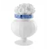 Blue Ming Flower Vase (Gift Box)