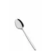 Spa Soup Spoon