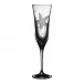 Pacifica Starfish Clear Champagne Flute