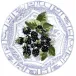 Oiseau Blue Fruits Dessert Plate Blackberries 8 11/16" Dia