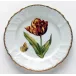 Old Master Tulips Red, Yellow, & Orange Tulip Salad Plate 7.75 in Rd