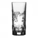 Springtime Clear Highball Tumbler