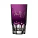 Springtime Amethyst Highball Tumbler