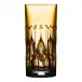 Renaissance Amber Highball Tumbler