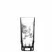 Dragon Clear Highball Tumbler