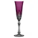 Captiva Amethyst Champagne Flute