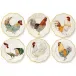 Plumes Set of Six Dinner Plates