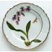 Orchid Dinner Plate #6 10.5 in Rd