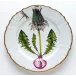 Flowers of Yesterday Dandelion Dinner Plate 10.25 in Rd