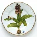 Flowers of Yesterday Narcissus Dinner Plate 10.25 in Rd