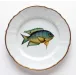 Antique Fish Aqua/Yellow Dinner Plate 9.5 in Rd