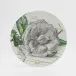 Camellia Pencil Dessert Plate